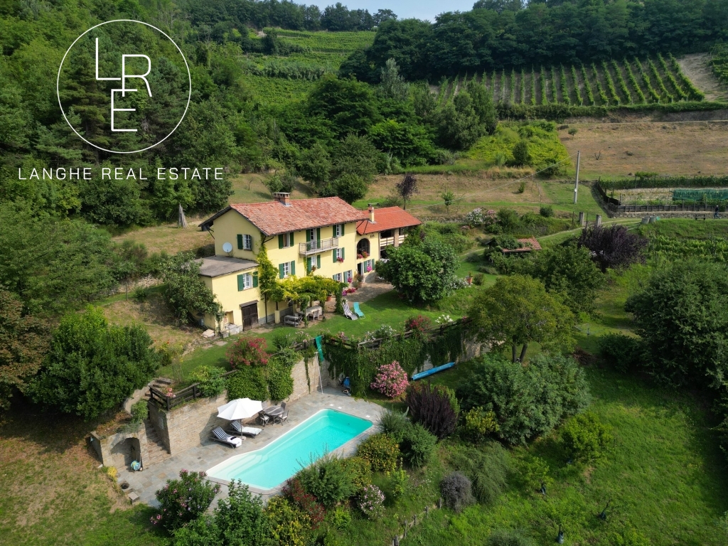 Country house for sale with vineyards