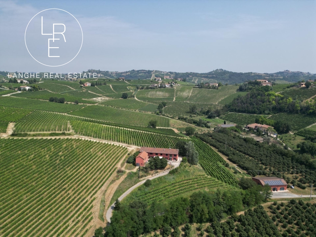 Vendesi cantina con cascina nel Monferrato